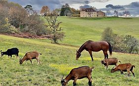 Domaine De Cazal - Chambres D'Hotes Avec Piscine Au Coeur De 26 Hectares De Nature Preservee